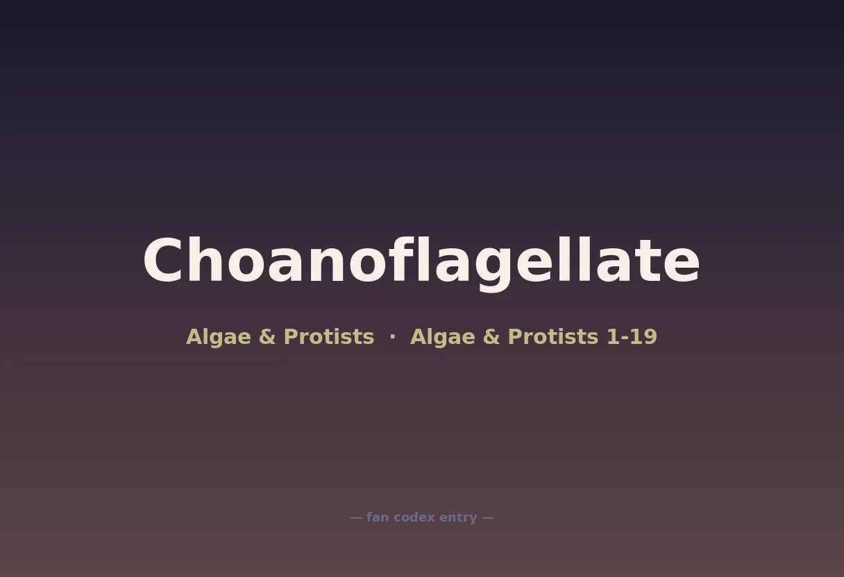 Choanoflagellate