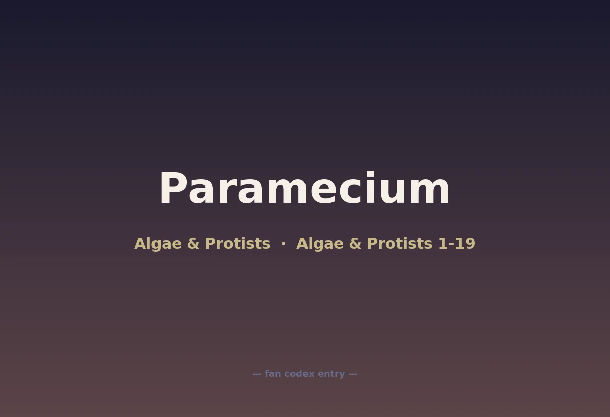Paramecium